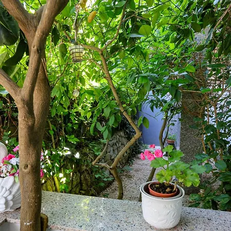 Apartamento With Parking Space Srima - Vodice, - 23744